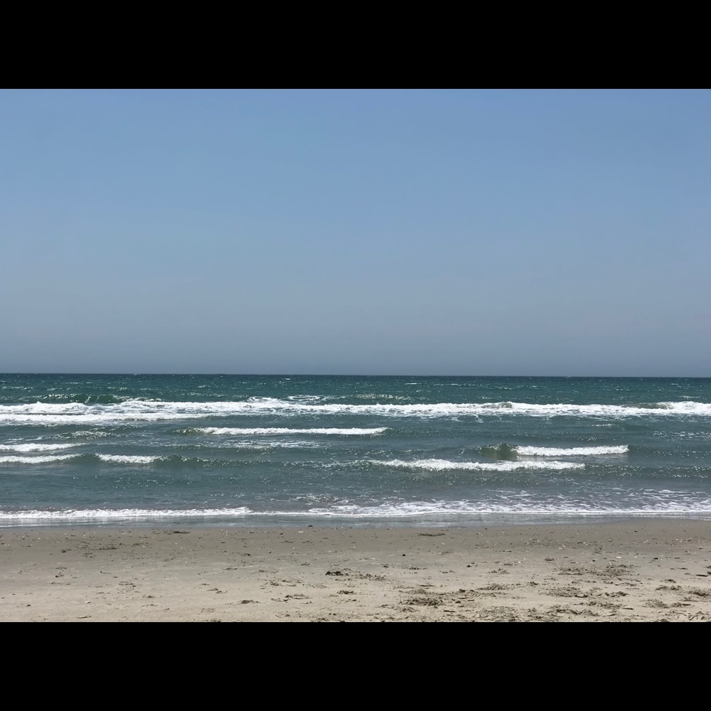 Meet your Posher, Alana